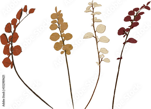 Autumn Winter Leaves. Four coloured leaf stems in autumn orange, winter mushroom blush and red. Hand drawn. Pencil texture. Collage design elements, isolated background.