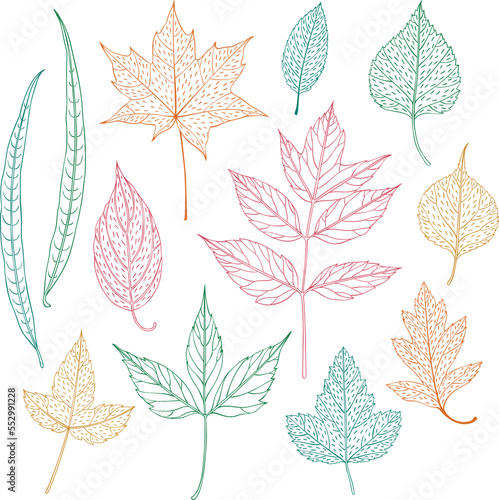 Leaves seamless pattern, leaf background