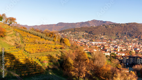View of Bergamo vineyard, green field and blue sky
