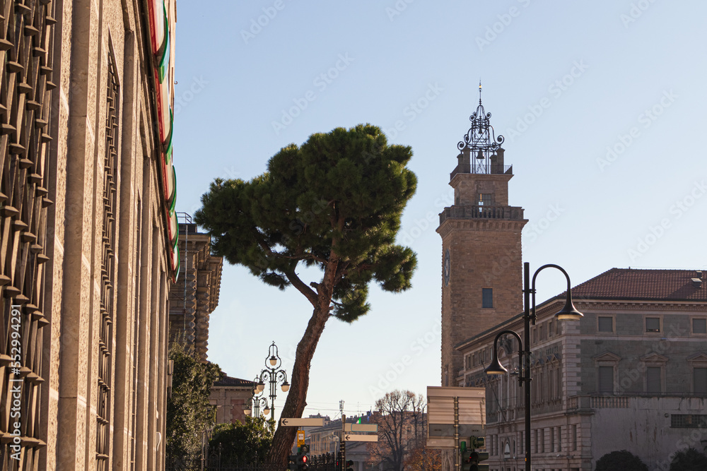 A green tree in the middle of an Italian street with a blue sky
