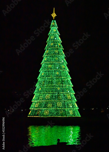 christmas tree with lights and stars
