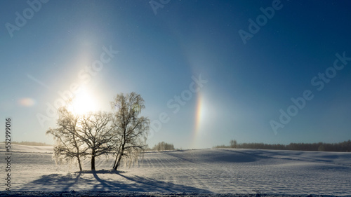 Halo effect on a winter morning. Sunny and shining light  cold weather  very frosty winter day  trees and grass covered with white frost. Fantastic sun halo in the blue sky