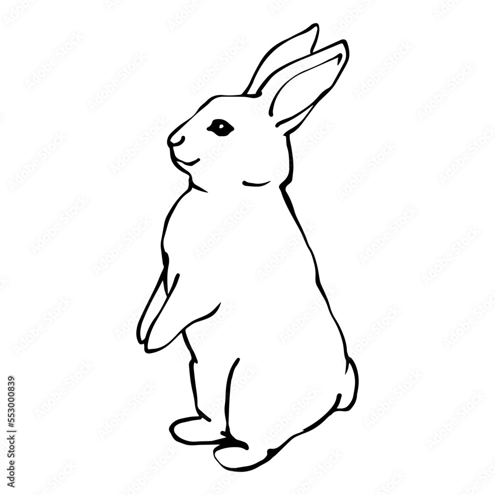Linear sketch of a rabbit.Vector graphics. Linear sketch of a rabbit.Vector graphics.