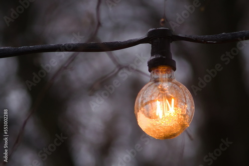snow-covered light bulb among the branches