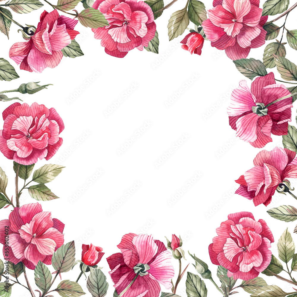 Cute, floral frame with roses and buds on a white background. Romantic, vintage frame with watercolor rose flowers.