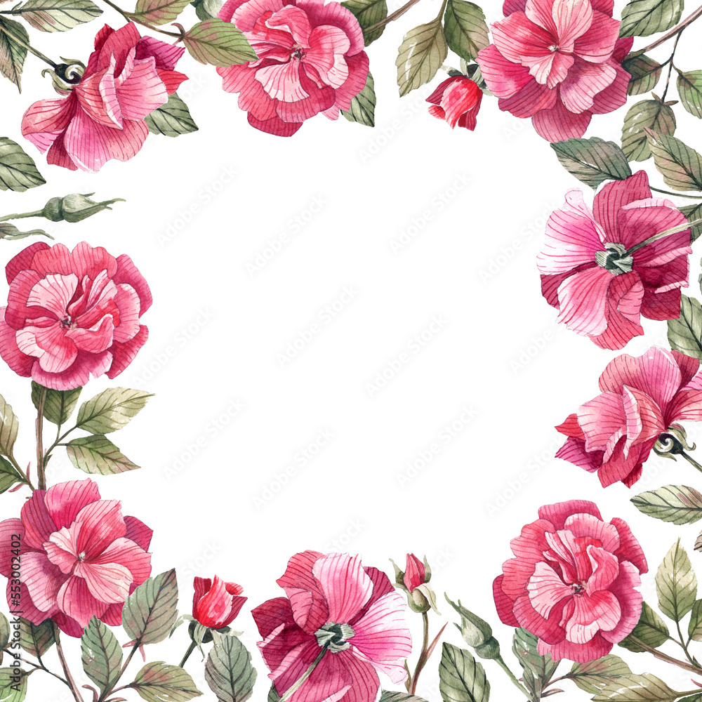 Cute, floral frame with roses and buds on a white background. Romantic, vintage frame with watercolor rose flowers. Cute, floral frame with roses and buds on a white background. Romantic, vintage frame with watercolor rose flowers.