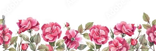 Horizontal, seamless border with rose flowers, rose buds on a white background. Vintage, floral, seamless background. Watercolor roses on a white background.