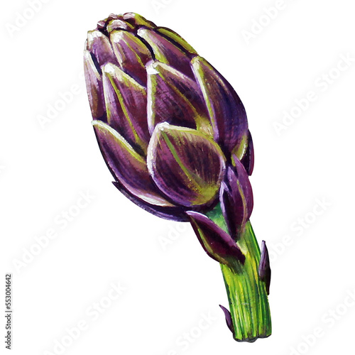 artichoke painting