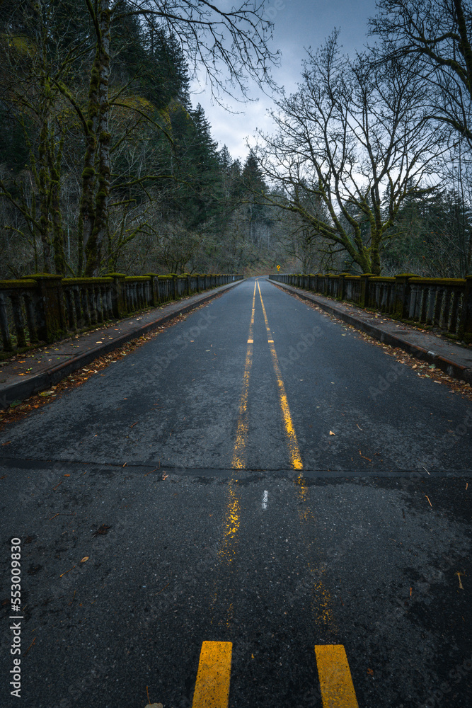 Fototapeta premium road in the autumn