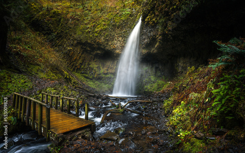 waterfall in the forest