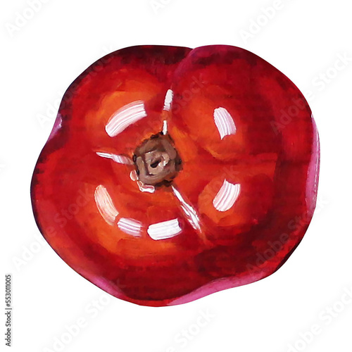 tomato painting