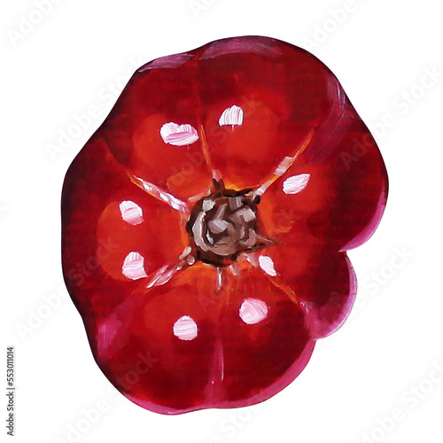 tomato painting