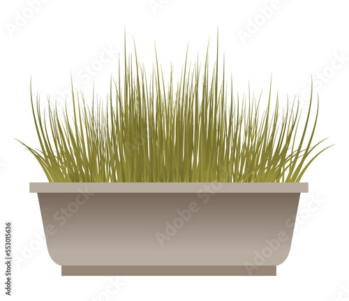 Green grass in a pot. Flat art