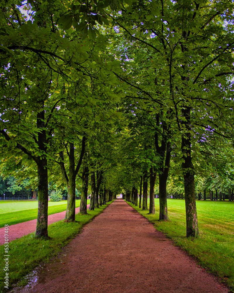 Alley in the park in Germany