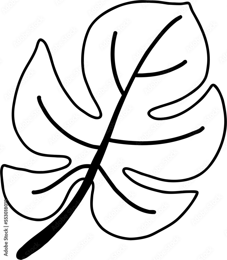 Fototapeta premium monstera leaf freehand drawing.