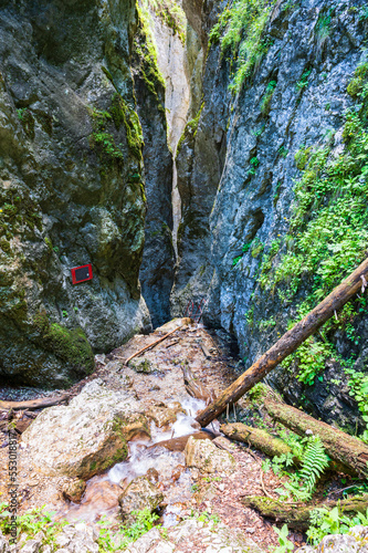 Obraz na płótnie Kletterpfad in eine Schlucht mit Wasserfall in den rumänischen Karpaten w salonie