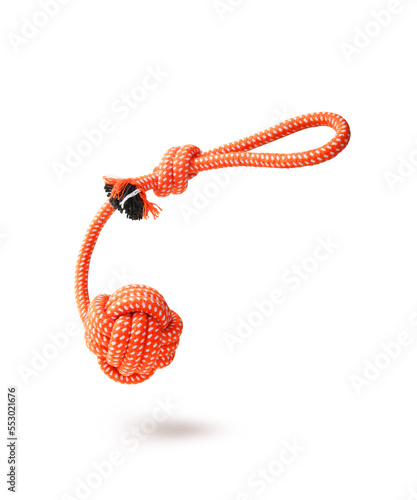 Canvas Print toy for dogs on a white background