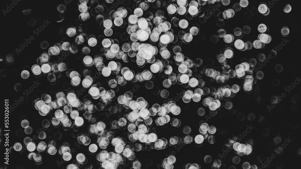Black and White Bokeh Black and White Bokeh
