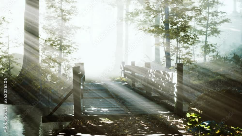 wooden steps in the forest disappeared in the thick fog wooden steps in the forest disappeared in the thick fog