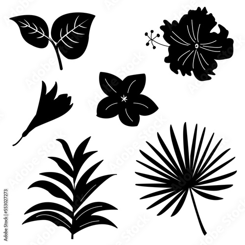 Tropical vector flowers and leaves filled. exotic plants. Illustration of beautiful hand-drawn tropical plants
