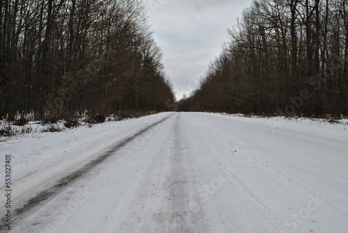 winter road in the snow © Dmytro