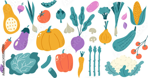 Hand drawn isolated vegetables. Flat vegetable, fresh organic meal ingredients. Market food, cartoon vegetarian raw. Snugly color vector clipart