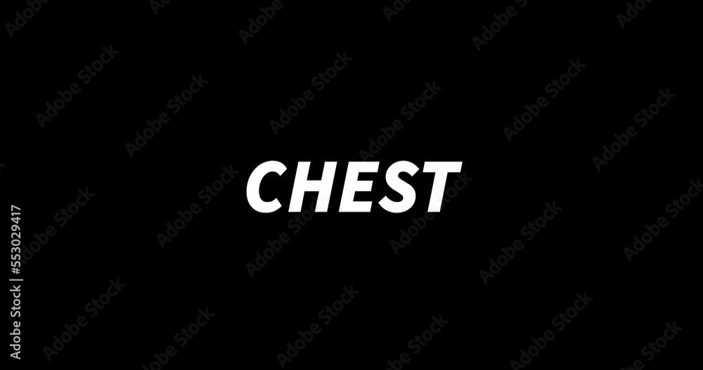 CHEST text animation on black background. Modern text animation, written CHEST CHEST text animation on black background. Modern text animation, written CHEST