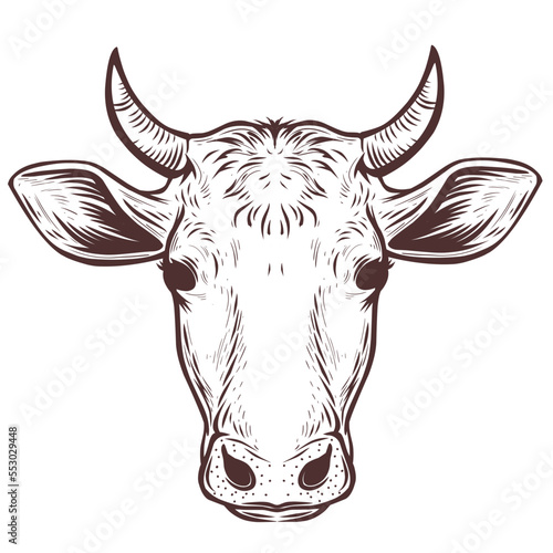 Vintage hand drawn cow head vector