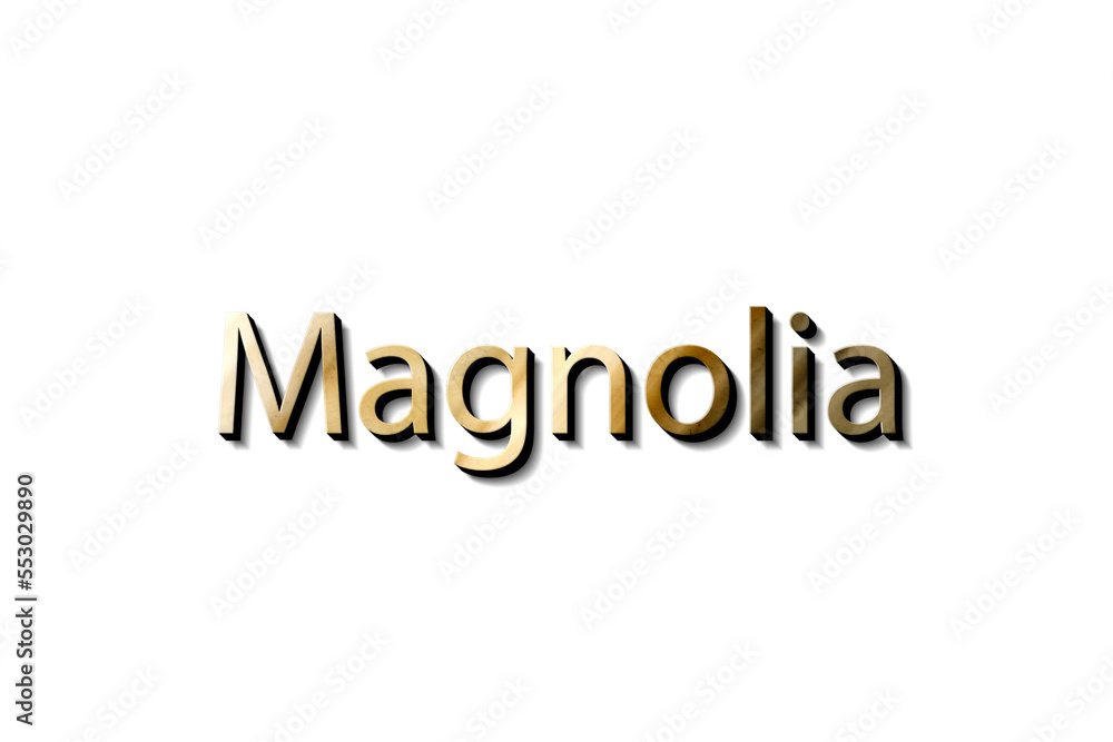 MAGNOLIA NAME 3D MAGNOLIA NAME 3D