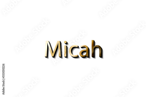 MICAH NAME 3D