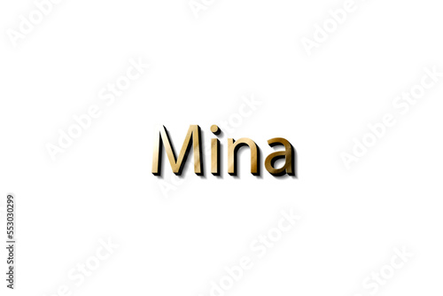 MINA NAME 3D