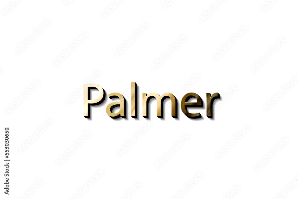 PALMER NAME 3D 