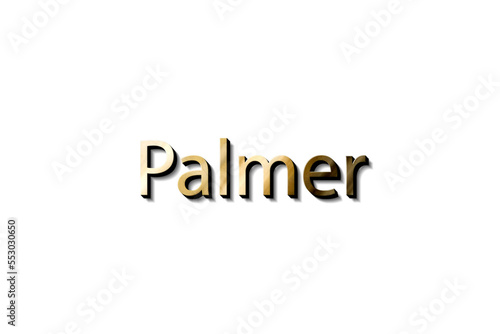 PALMER NAME 3D 