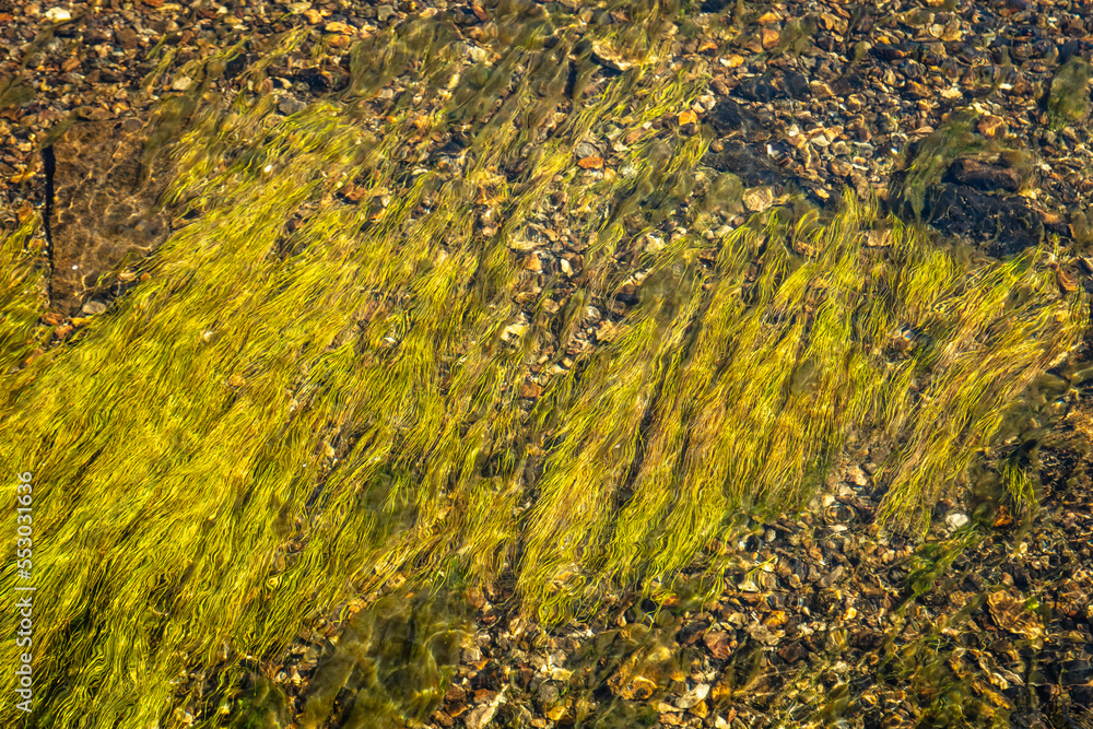 colorful stones around geysers at Yellowstone National Park colorful stones around geysers at Yellowstone National Park