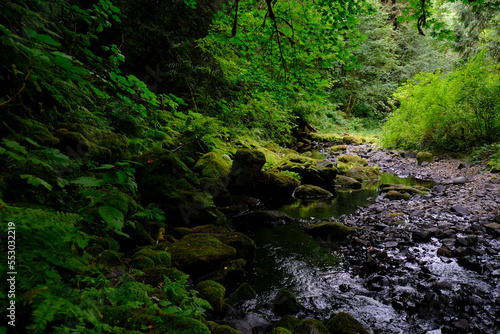 Beaver Creek - Clatskanie  OR