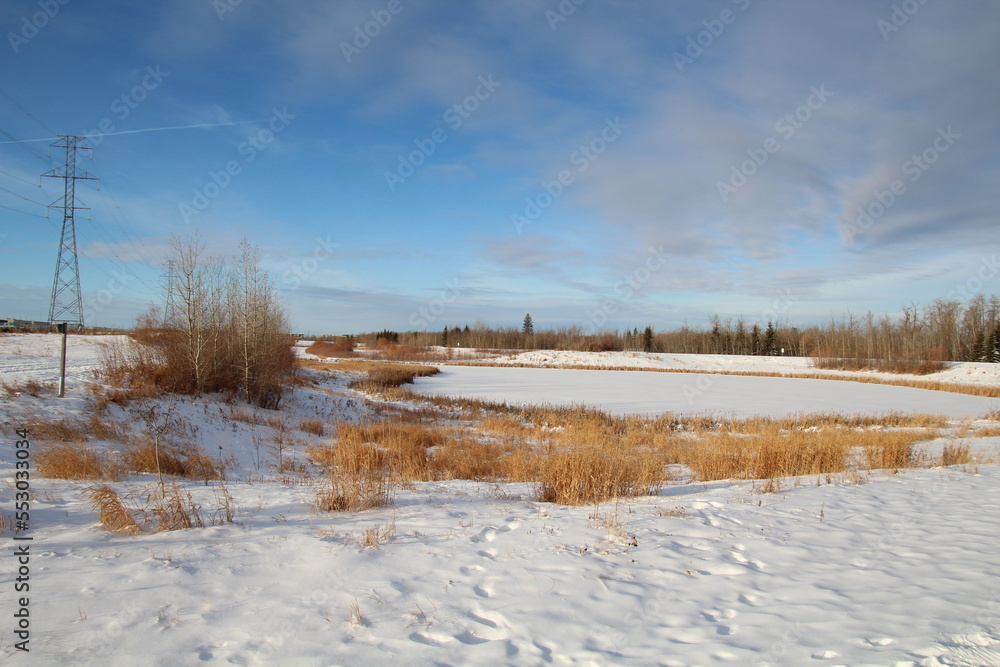 landscape with snow