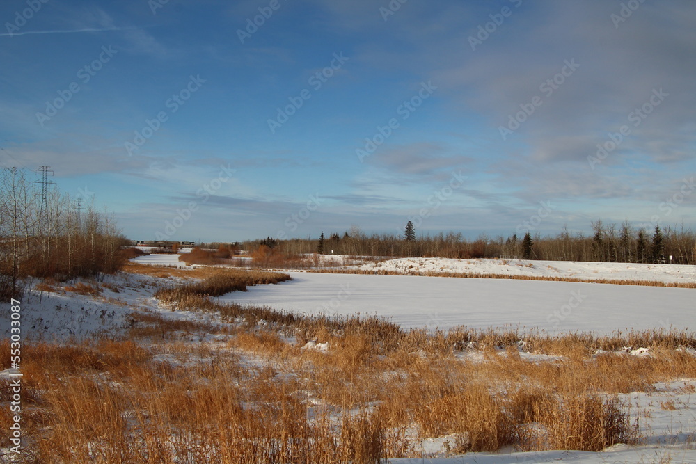 Winter In the Wetlands, Pylypow Wetlands, Edmonton, Alberta