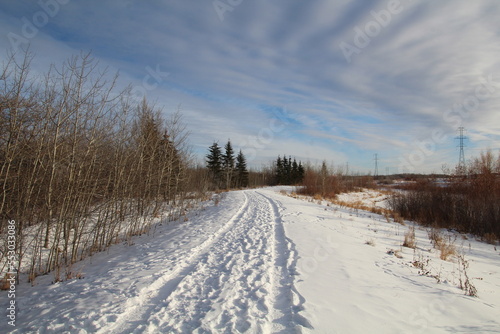 Snowy Trail, Pylypow Wetlands, Edmonton, Alberta