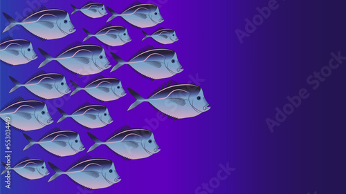 Vector school of fish in the ocean. Fish underwater. Marine wallpaper. Vomer fish in the habitat.