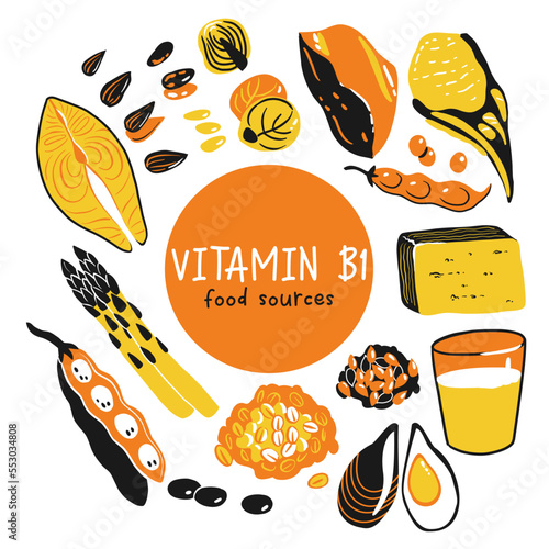 Collection of vitamin B1 sources. Food containing thiamin. Tofu, oatmeal, liver, pork, beans, peas, mussels, salmon, asparagus, flax seeds, brussels sprouts. Dietetic products, organic nutrition.
