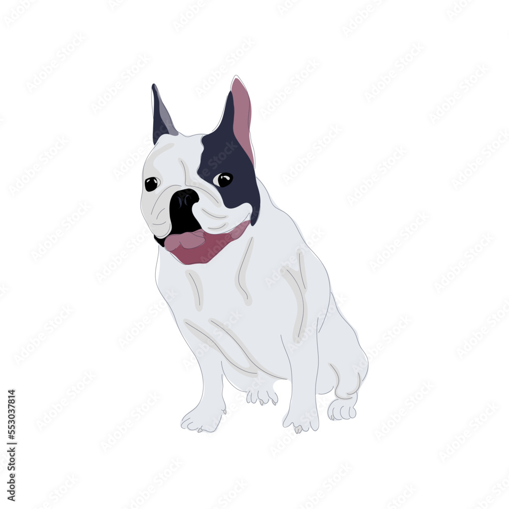 Vector illustration of a hand drawn sitting white french bulldog. Dog isolated on white background.