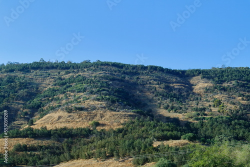 landscape in the mountains