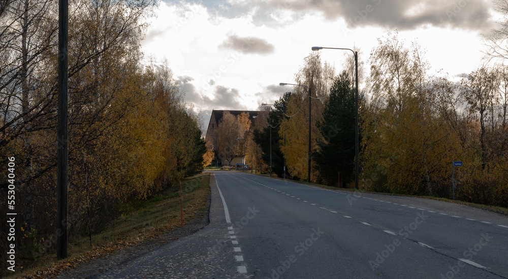 Fototapeta premium sunset on the road