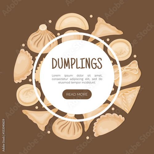 Cooked Traditional Chinese Dumplings or Dim Sum Vector Design Template