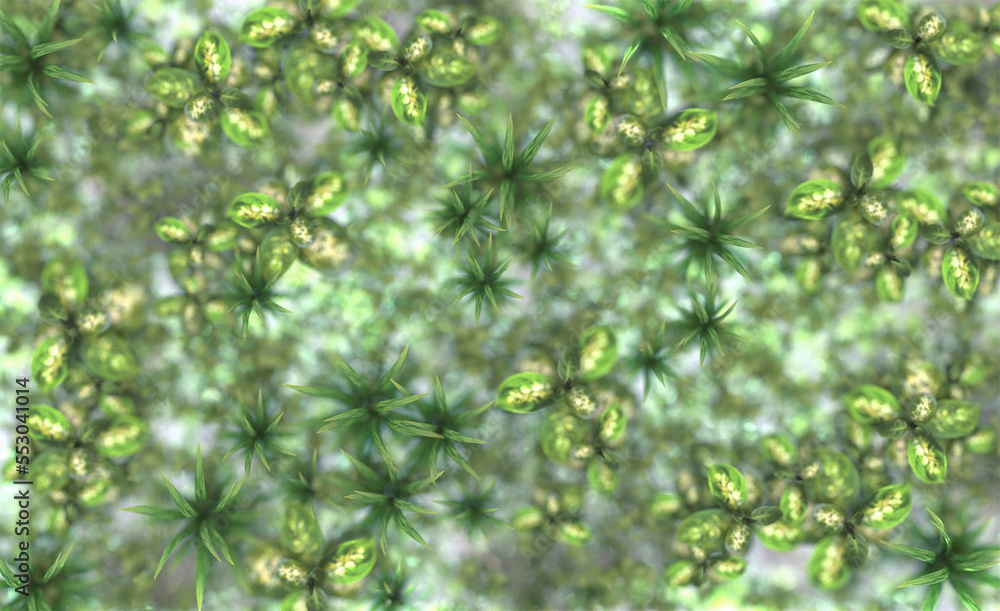 Silhouette of plants behind frosted glass. View from above. 3d render. Silhouette of plants behind frosted glass. View from above. 3d render.
