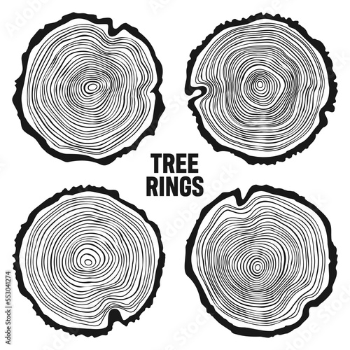 Round tree trunk cuts, sawn pine or oak slices, lumber. Saw cut timber, wood. Wooden texture with tree rings. Hand drawn sketch. Vector illustration