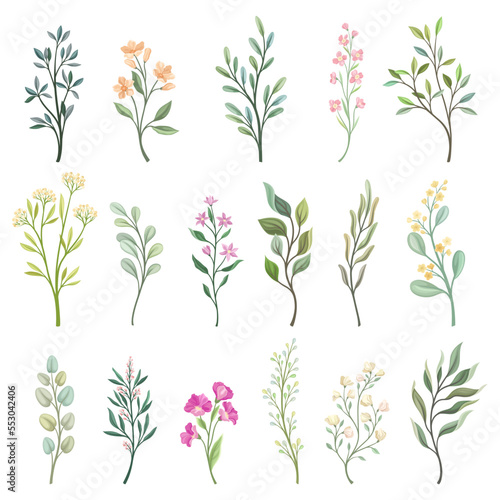 Floral Branches with Blooming Flower and Leafy Stem Big Vector Set