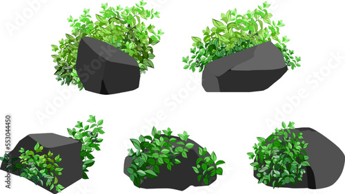 Collection of pieces of coal, graphite, basalt and anthracite. A set of black charcoal of various shapes and plants.The concept of mining and ore in a mine.Rock fragments,boulders.