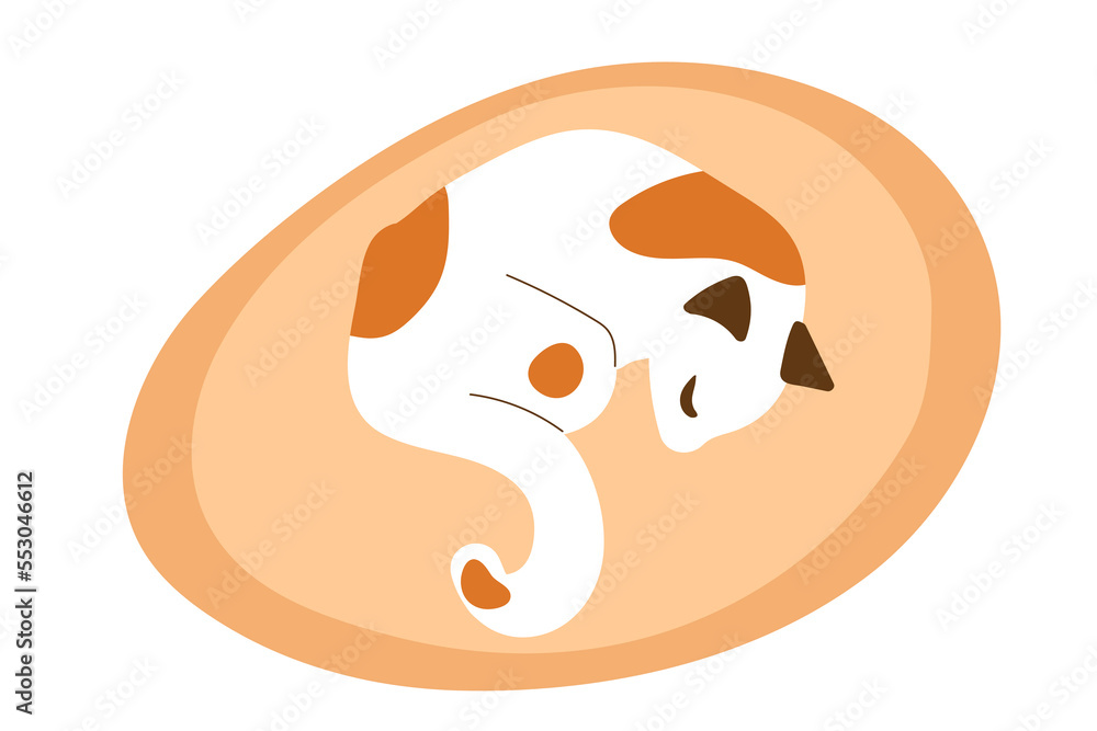 Cat sleeping on feline bedding. Pet kitty is resting. Vector illustration isolated on white background. Hand draw animal, cartoon character. White domestic cat with red spots. Pet curled up. Cat sleeping on feline bedding. Pet kitty is resting. Vector illustration isolated on white background. Hand draw animal, cartoon character. White domestic cat with red spots. Pet curled up.