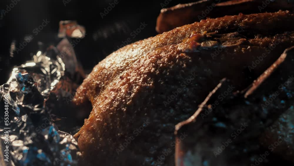 Vidéo Stock Cooking a whole duck in the oven. Roasting meat in the oven